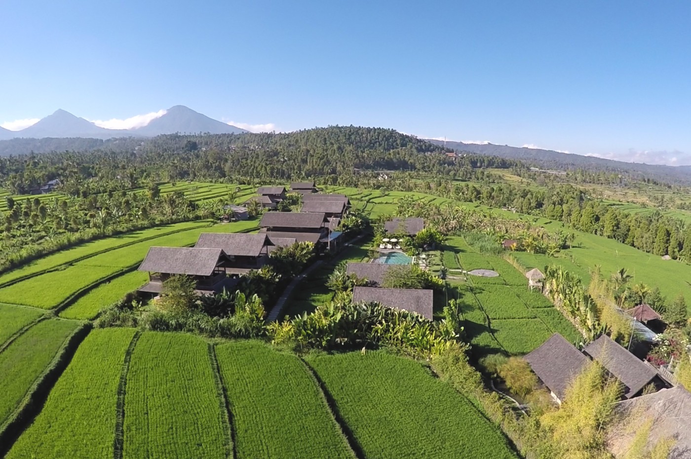 Rice fields around Sanak Retreat, Munduk, Bali, Indonesia