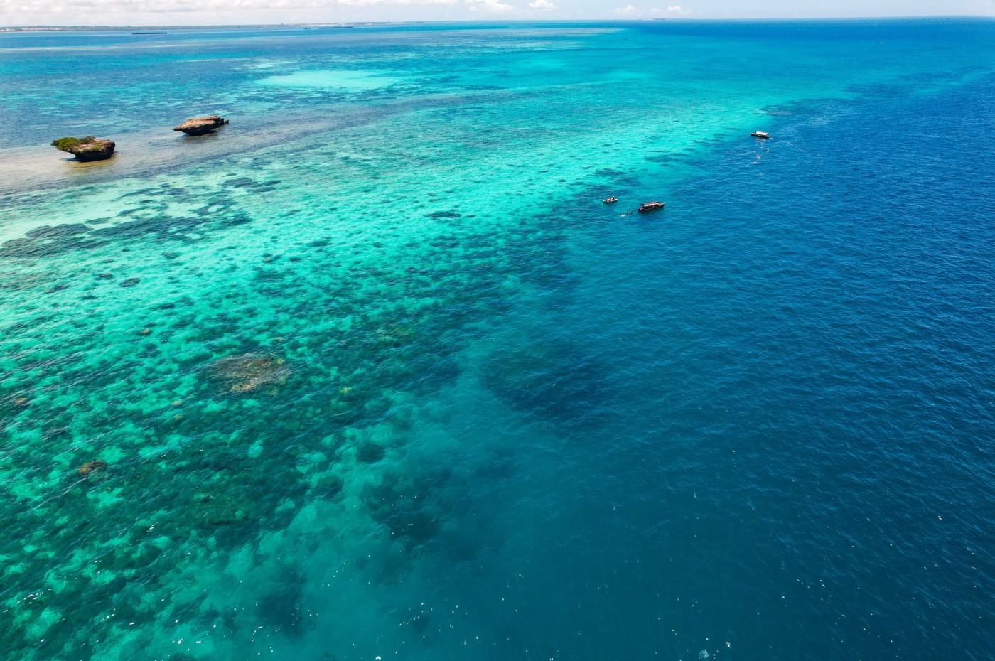 Chumbe Island Coral Park, off Zanzibar, Tanzania