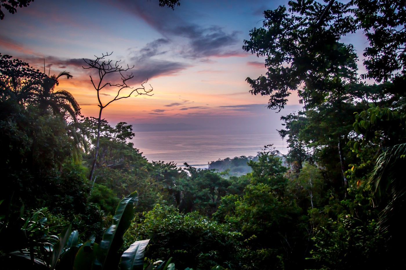 Lapa Rios, Osa, Costa Rica