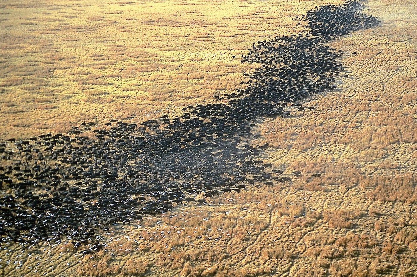 Chada Katavi, Tanzania