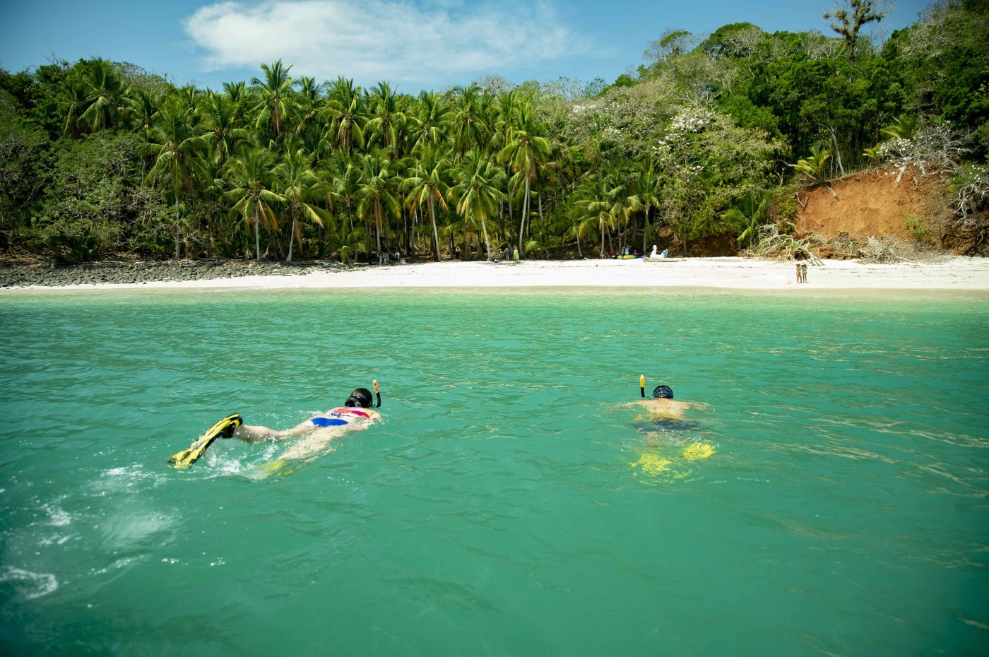 Isla Palenque, Panama