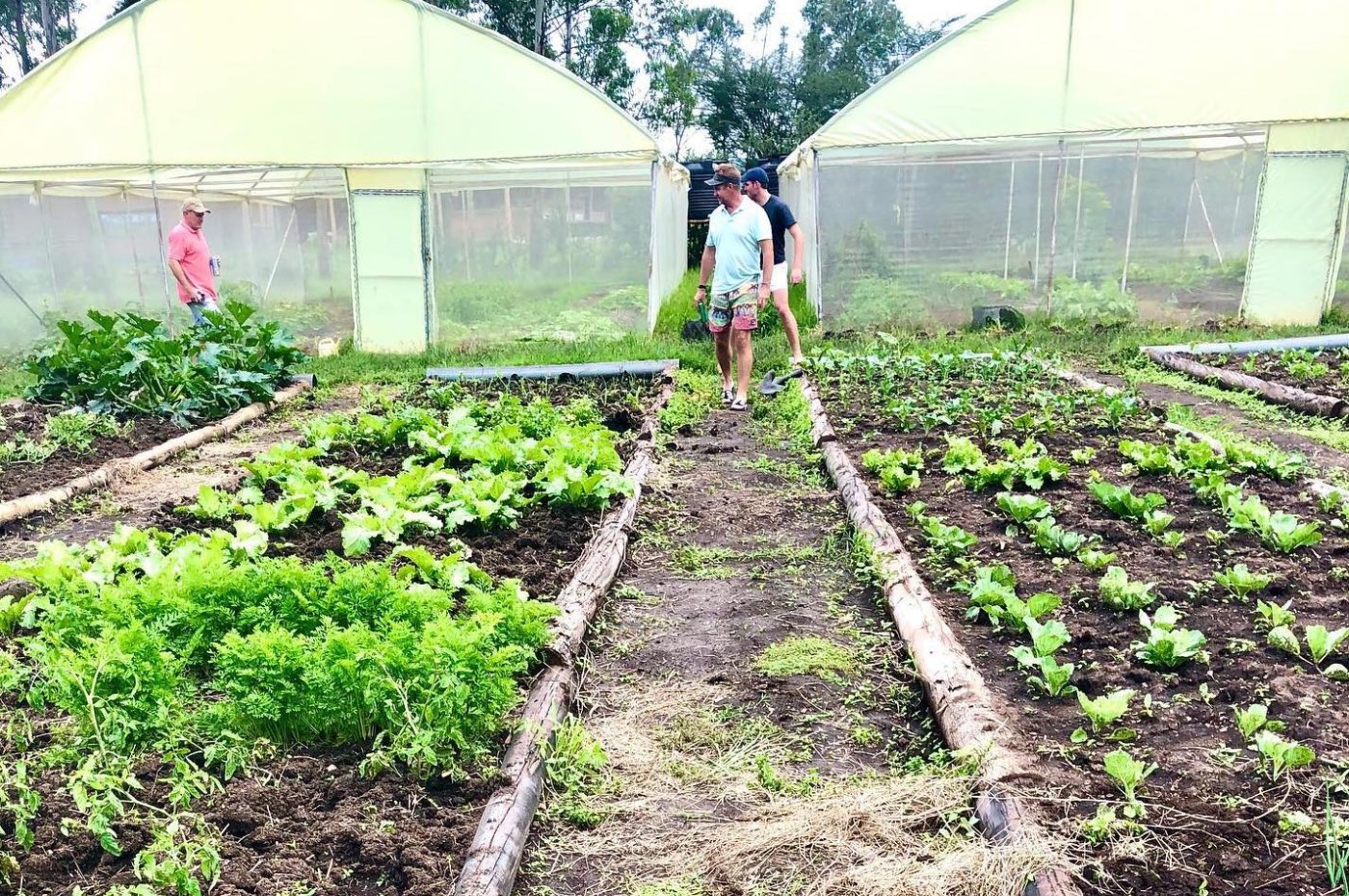 House in the Wild, Masai Mara, Kenya