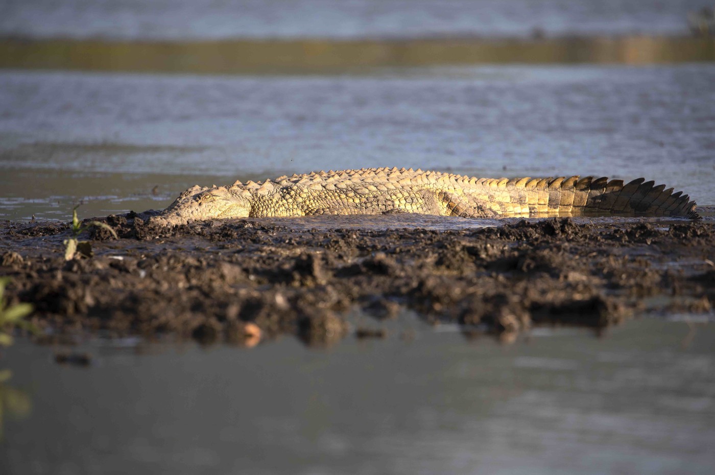 House in the Wild, Masai Mara, Kenya