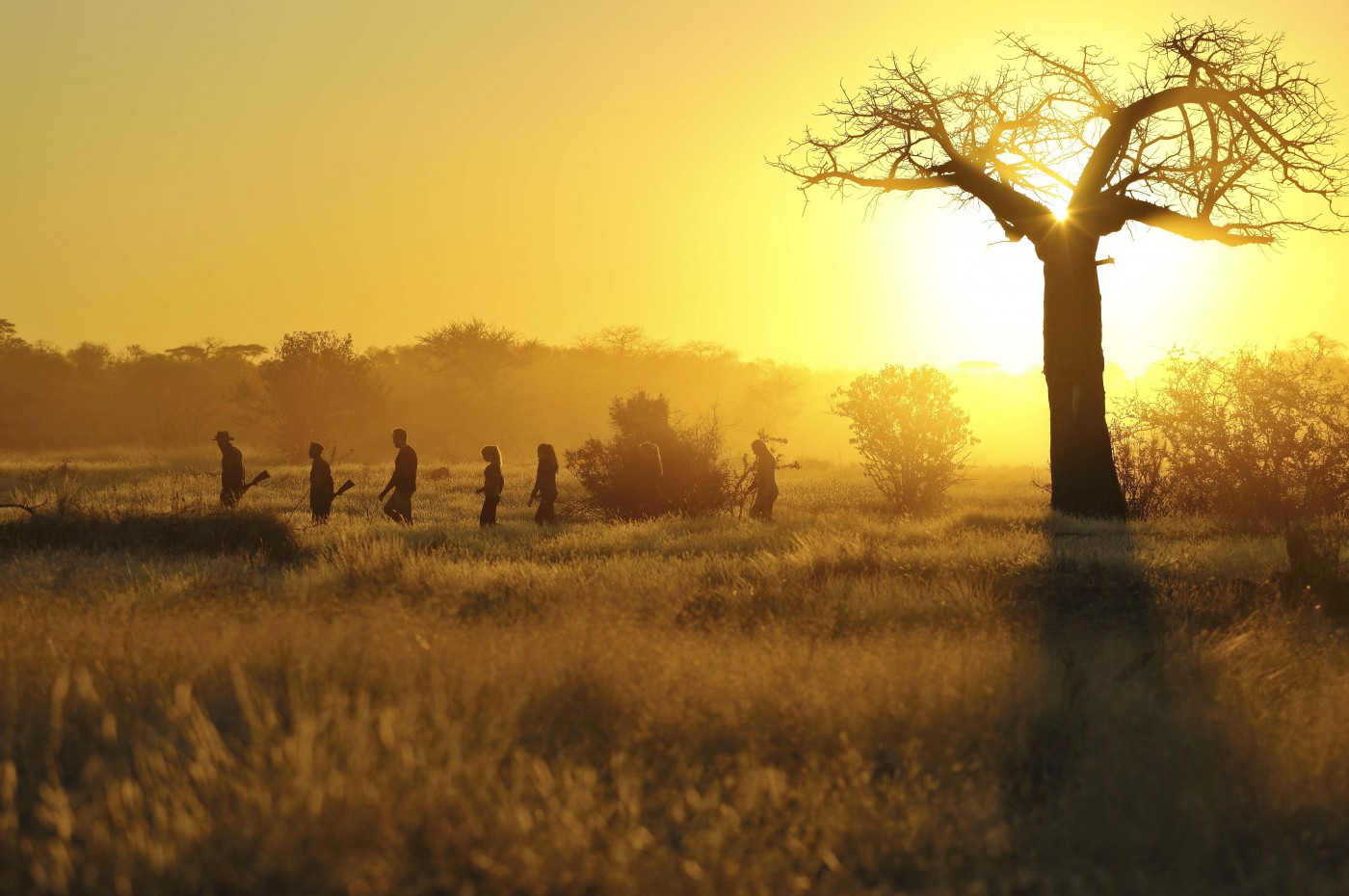Kichaka Expeditions, Ruaha, Tanzania