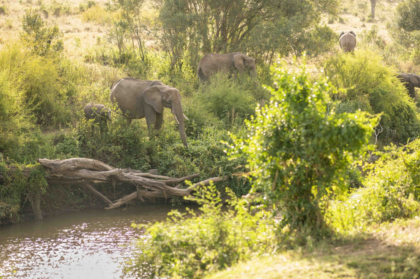 El Karama Lodge, Laikipia, Kenya