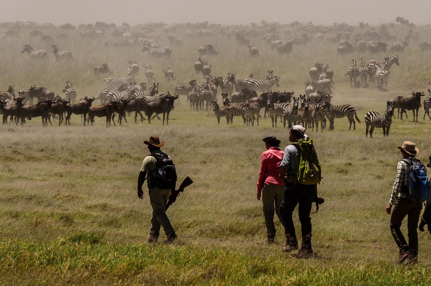People at walking safari looking at animals at the savannah at wayo walking safari camp