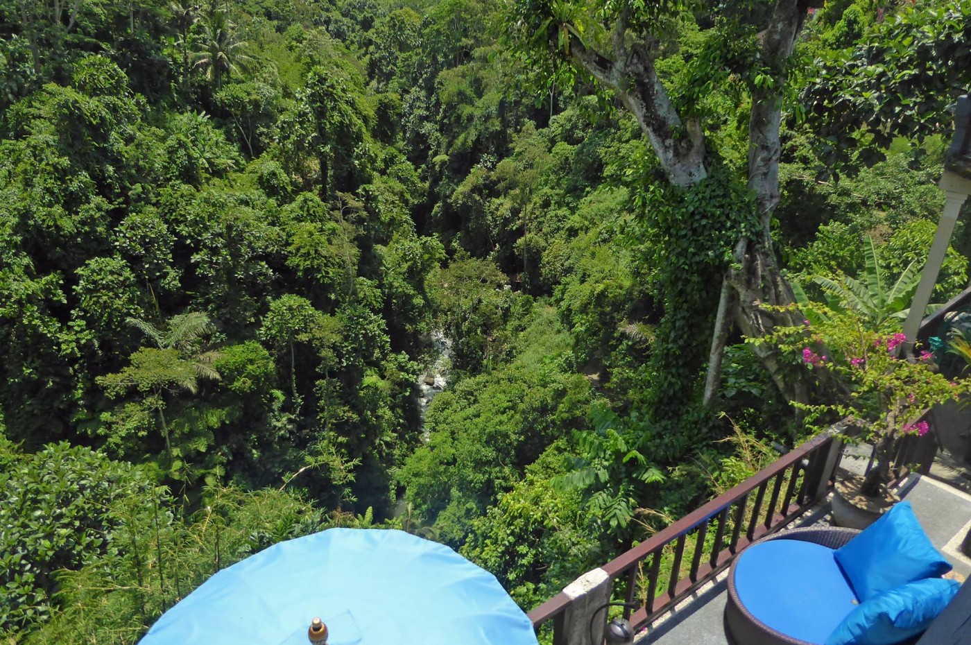 nature view at Villa Kalisat, Ubud, Bali, Indonesia