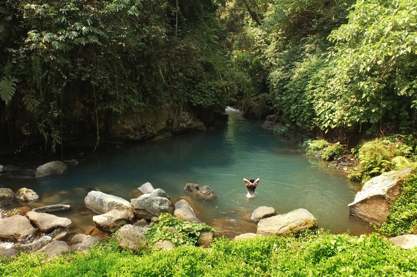 nature around Villa Kalisat, Ubud, Bali, Indonesia