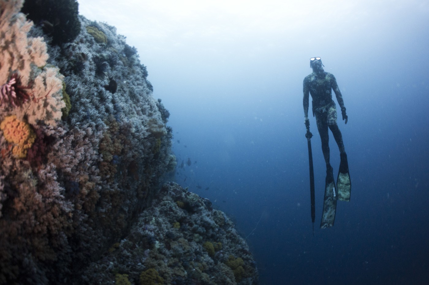 free diver below water at NIHI Sumba, Indonesia