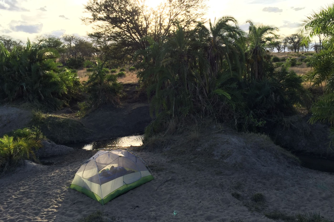 tent and bush at Wayo Fly Safari Camp, Serengeti, Tanzania