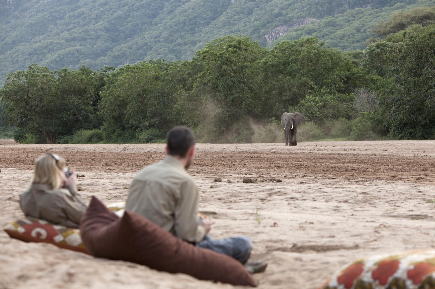 People watching an elephant at Wayo Manyara Green Camp, Tanzania
