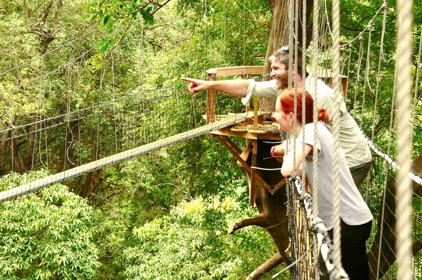 people on hanging bridge at Wayo Manyara Green Camp, Tanzania