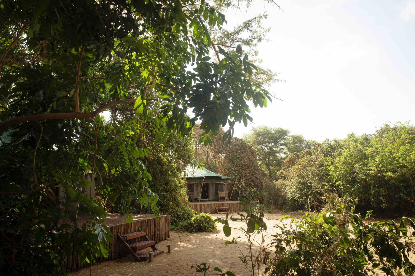 Tents at Wayo Manyara Green Camp, Tanzania