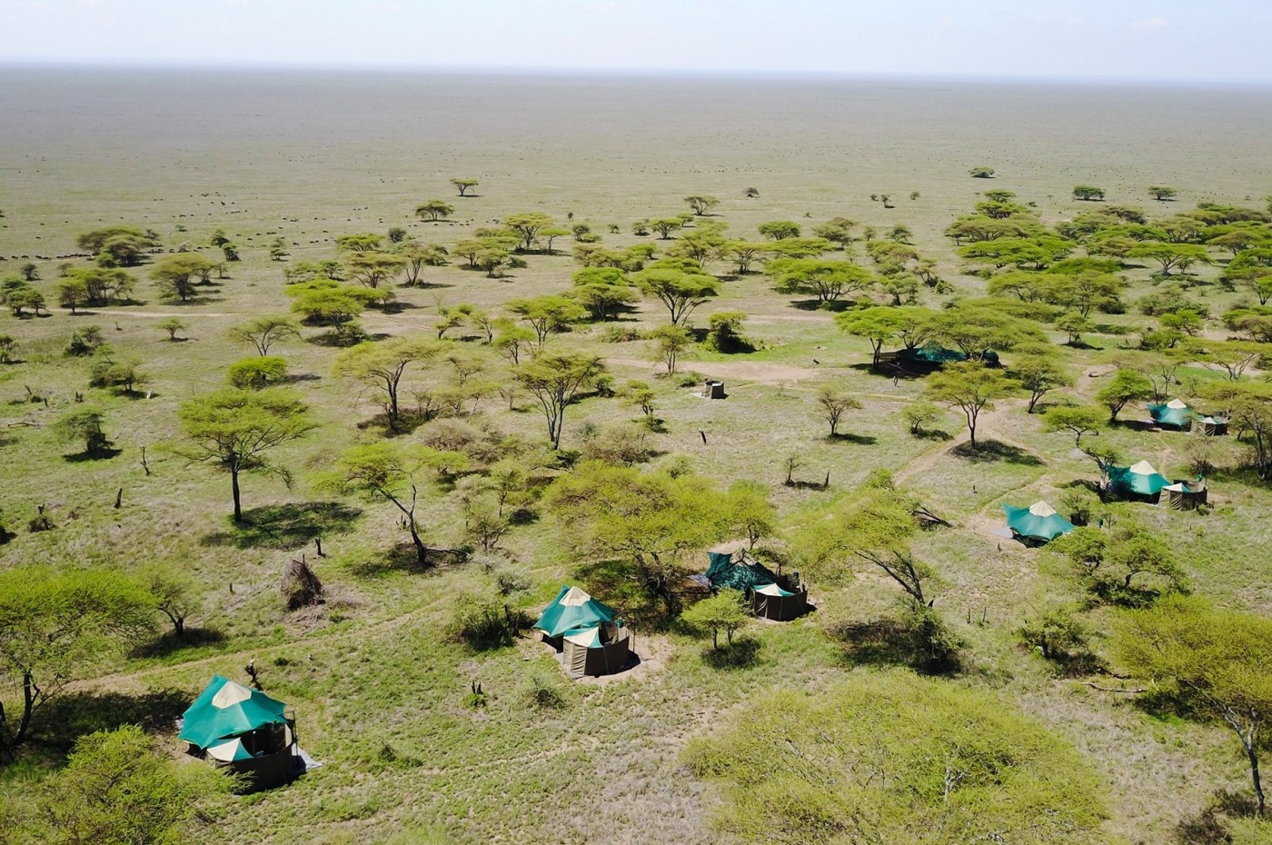Serengeti Green Camps - Tanzania Mobile Safaris