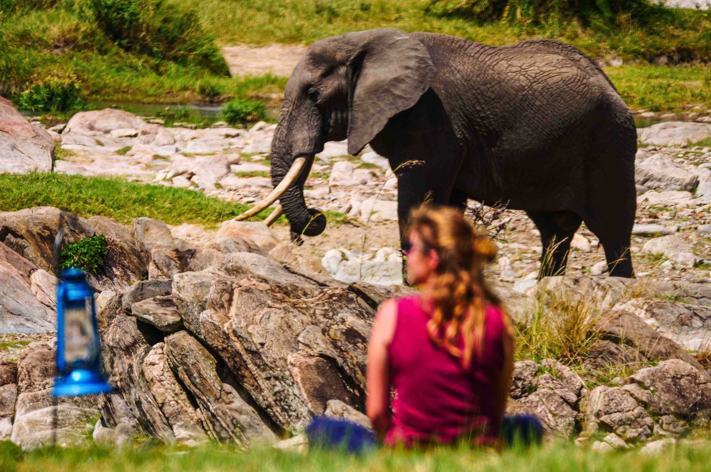 Woman looking at an elephant at Wayo Serengeti Green Camp, Tanzania