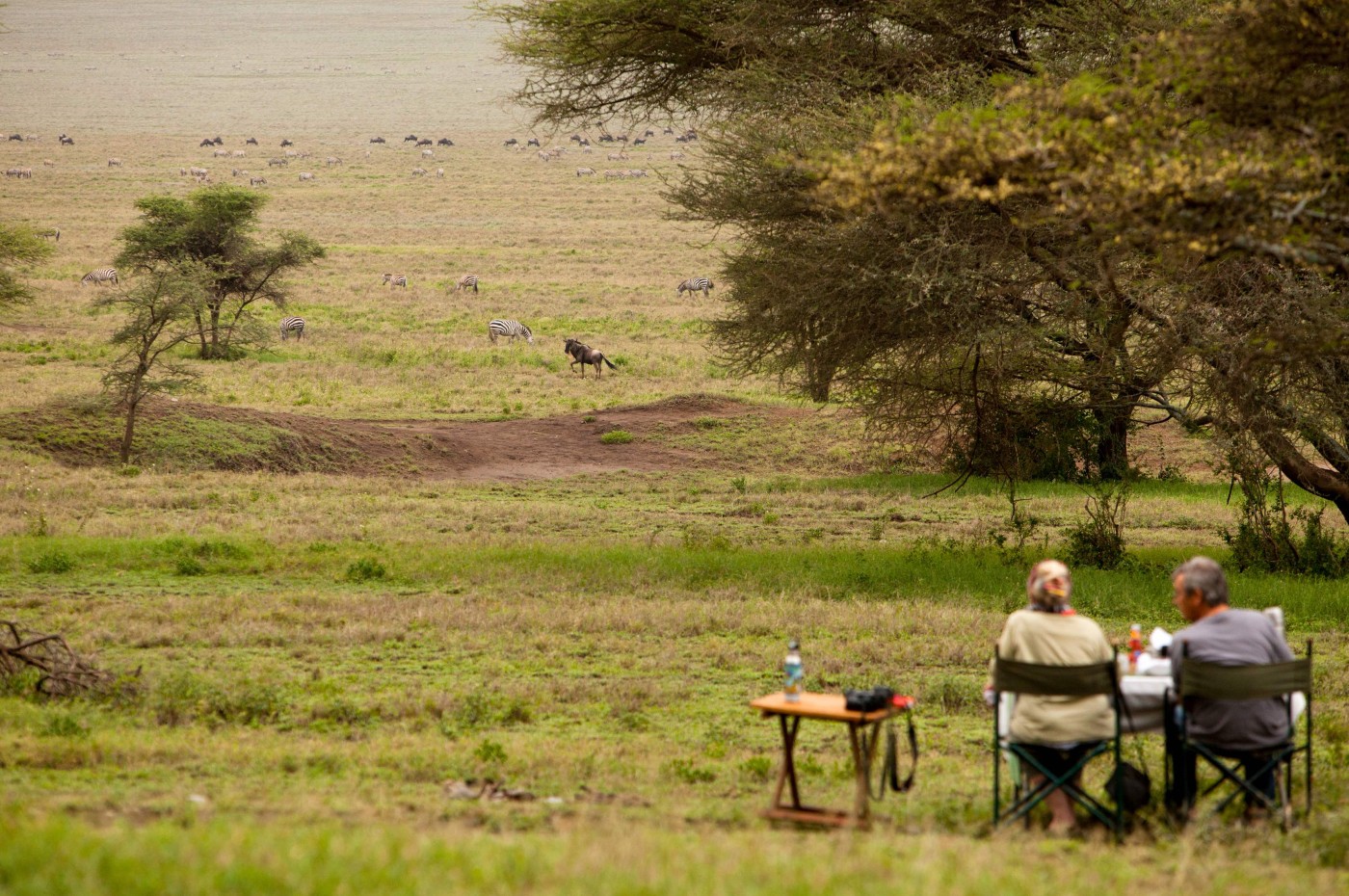 two people looking over the savannah at Wayo Serengeti Green Camp, Tanzania
