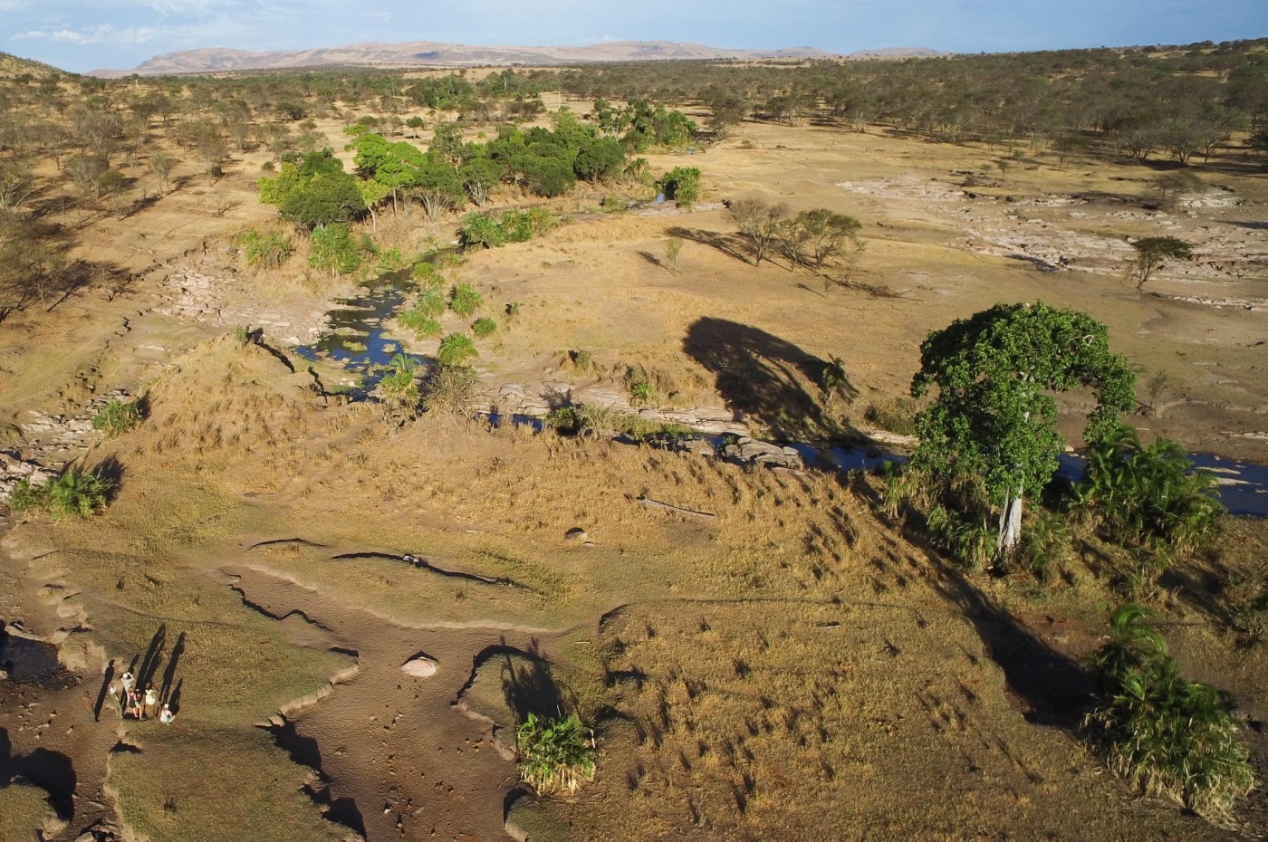 aerial overview of savannah and people walking at Wayo Walking Safari Camp, Serengeti, Tanzania