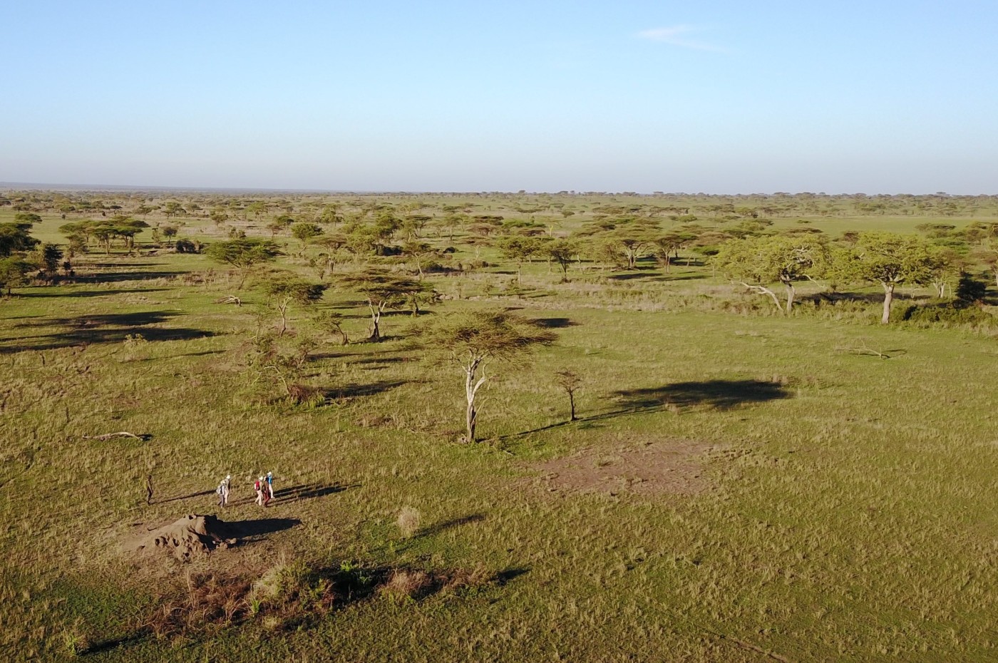 savannah and bush at Wayo Walking Safari Camp, Serengeti, Tanzania