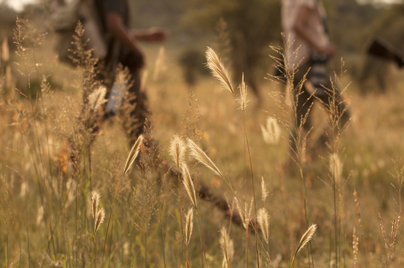 Wayo Walking Safari Camp, Serengeti, Tanzania