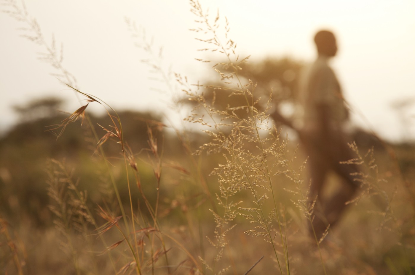 Wayo Walking Safari Camp, Serengeti, Tanzania