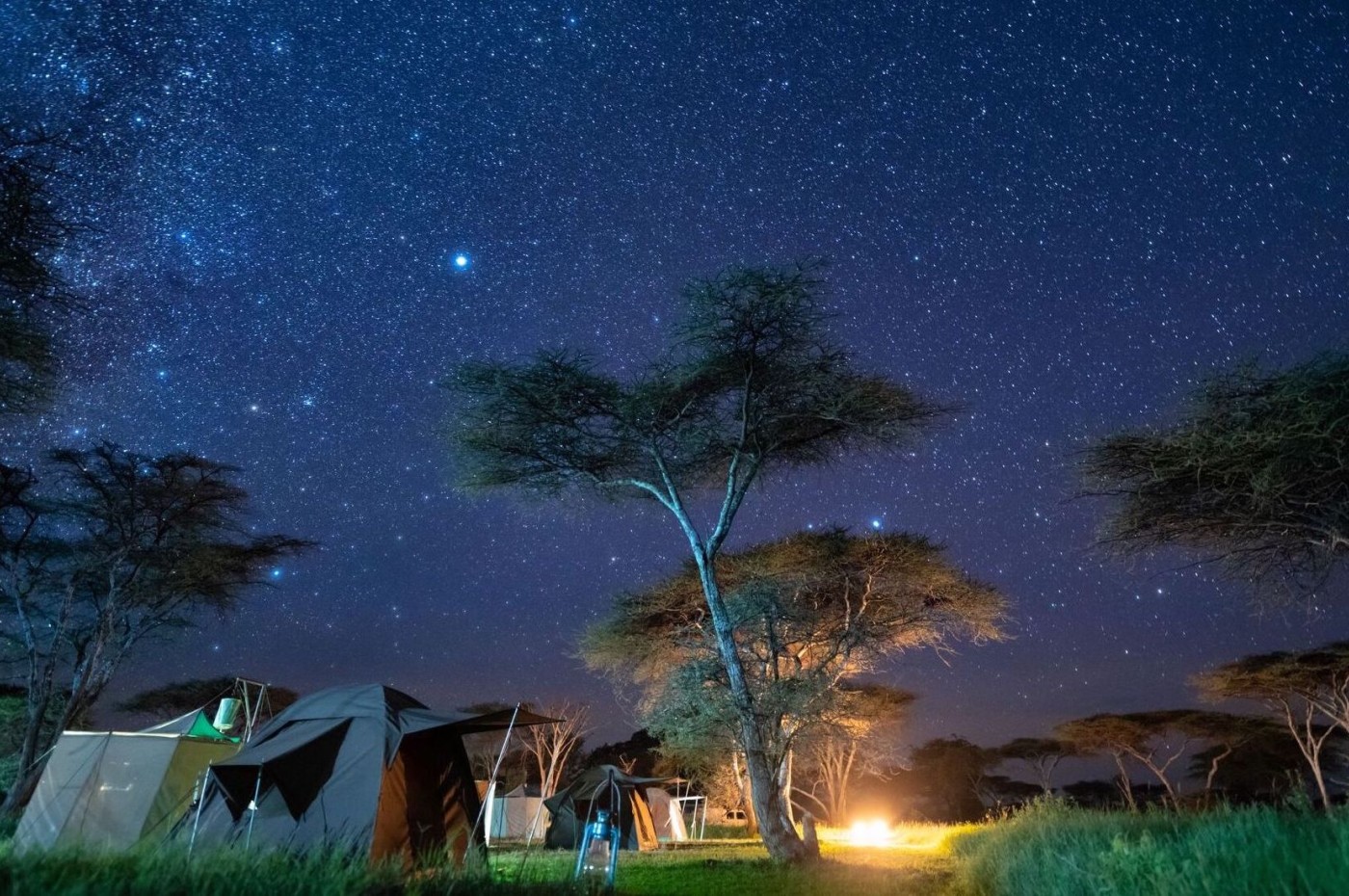 tents and nightsky at Wayo Walking Safari Camp, Serengeti, Tanzania