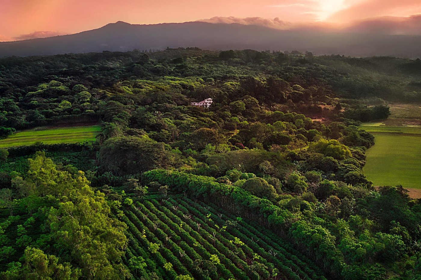 Finca Rosa Blanca, San Jose, Costa Rica