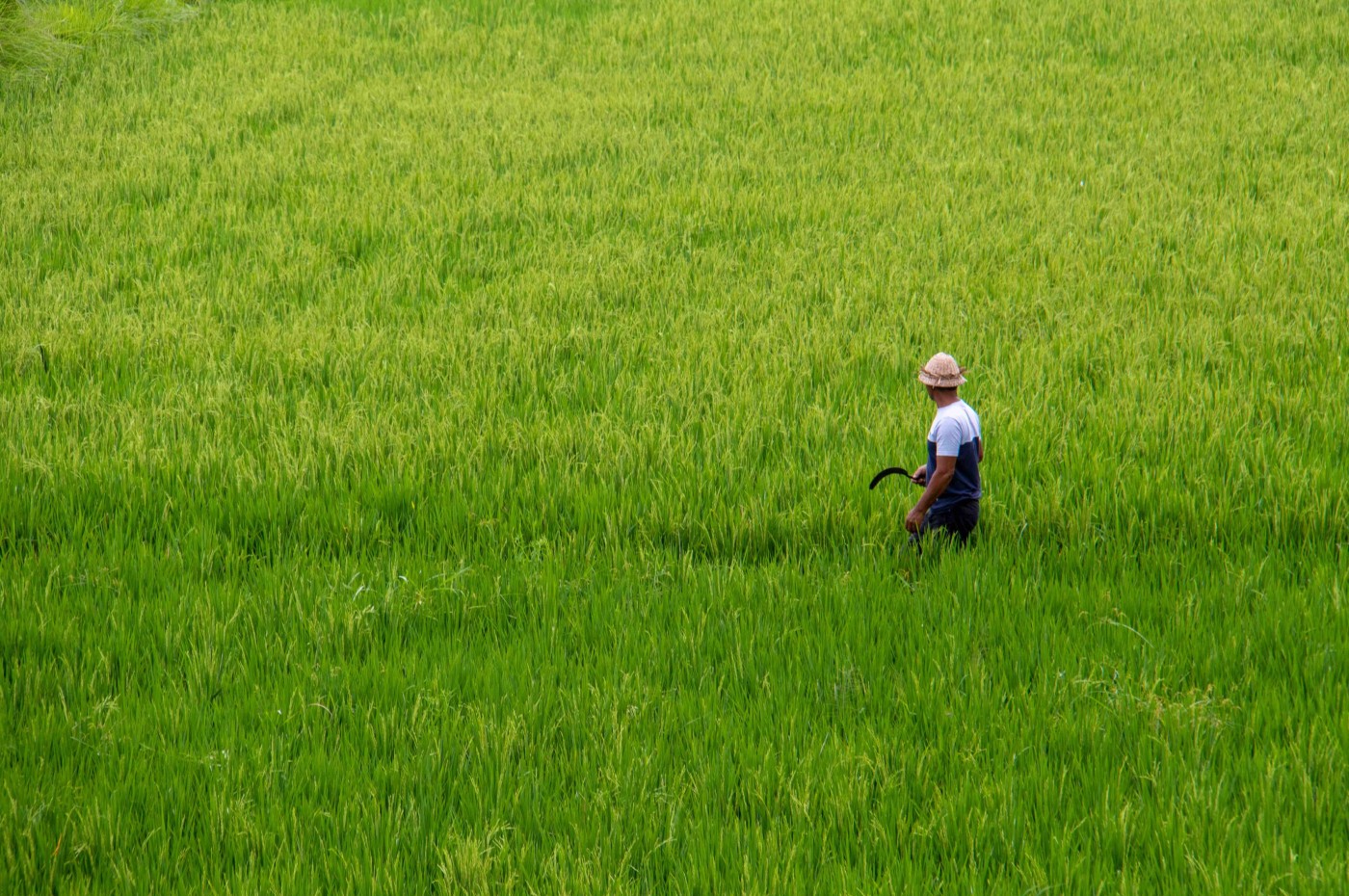 Bali, Indonesia