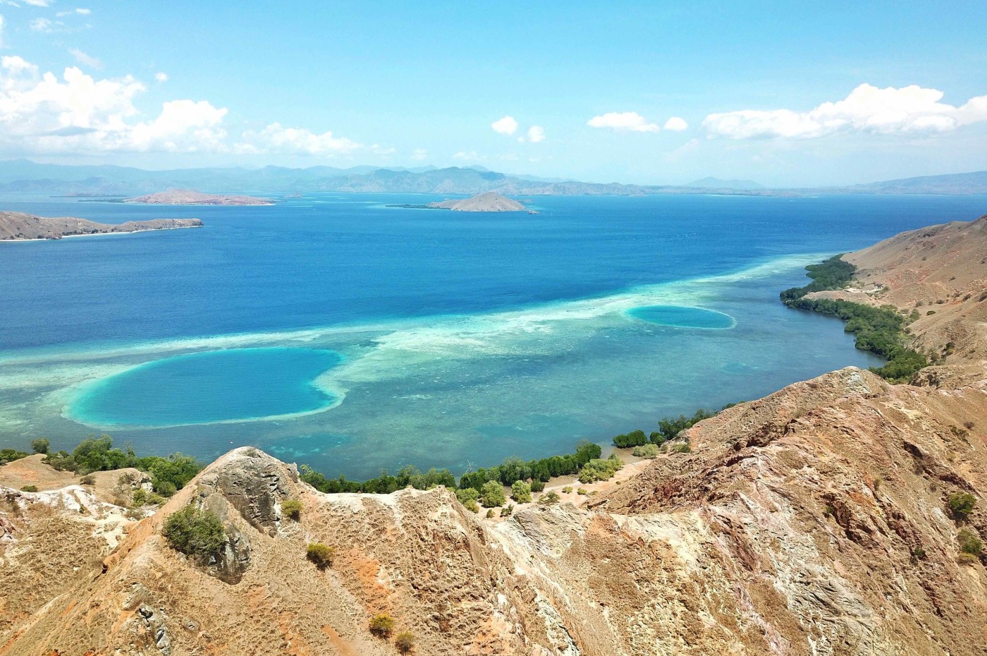 Komodo. Indonesia