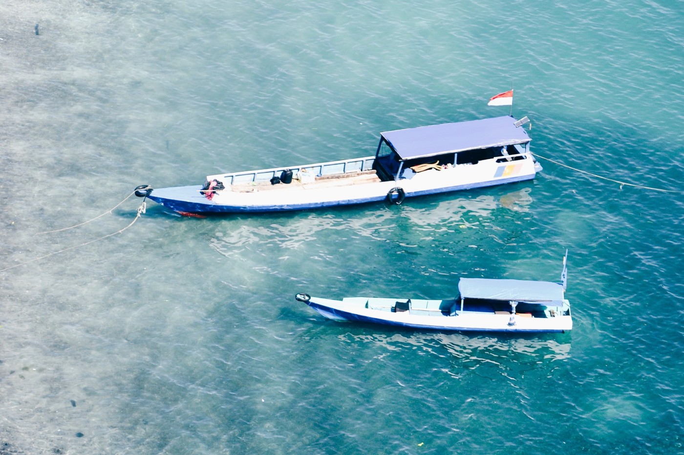 Komodo. Indonesia