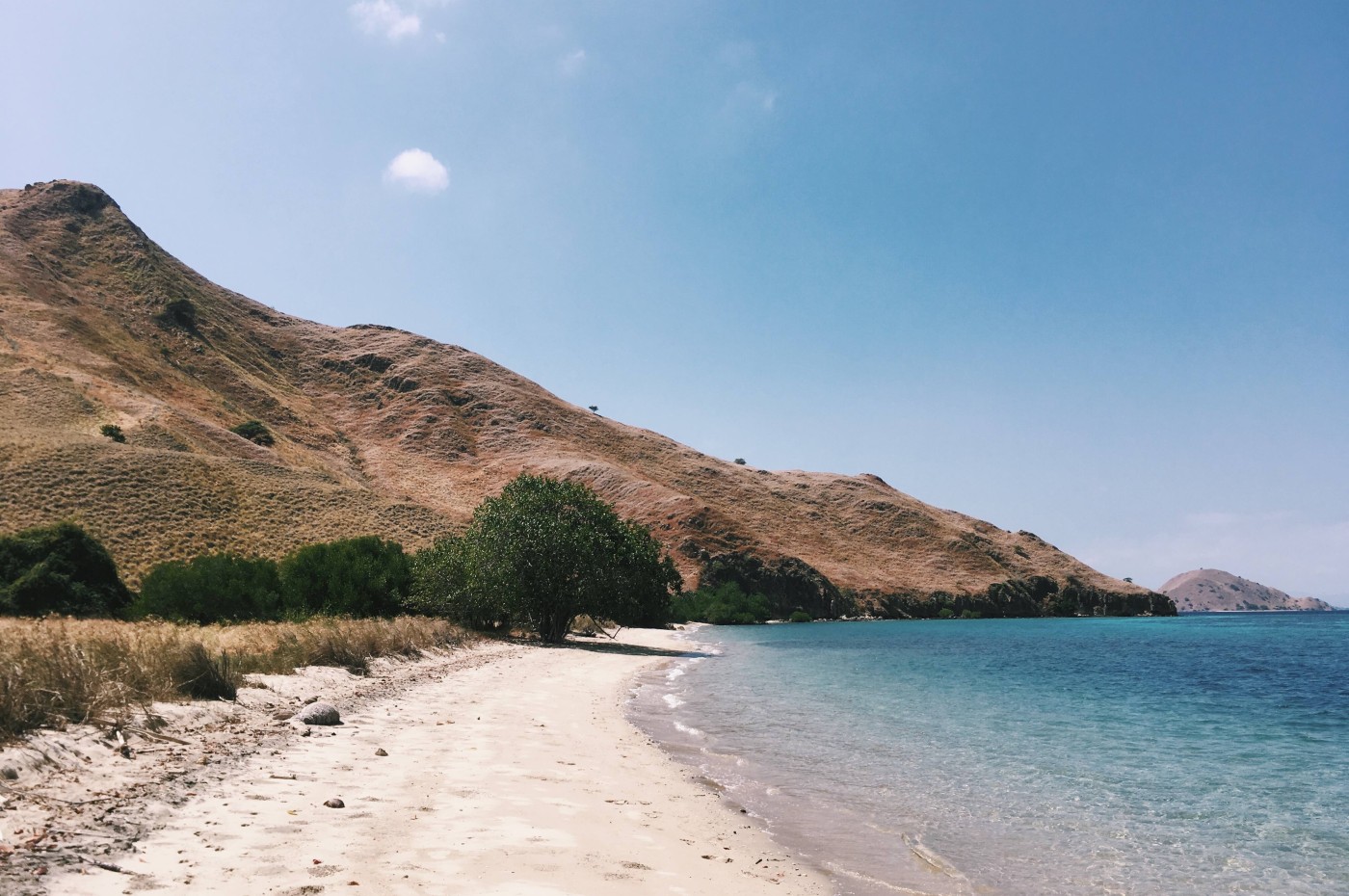Komodo. Indonesia