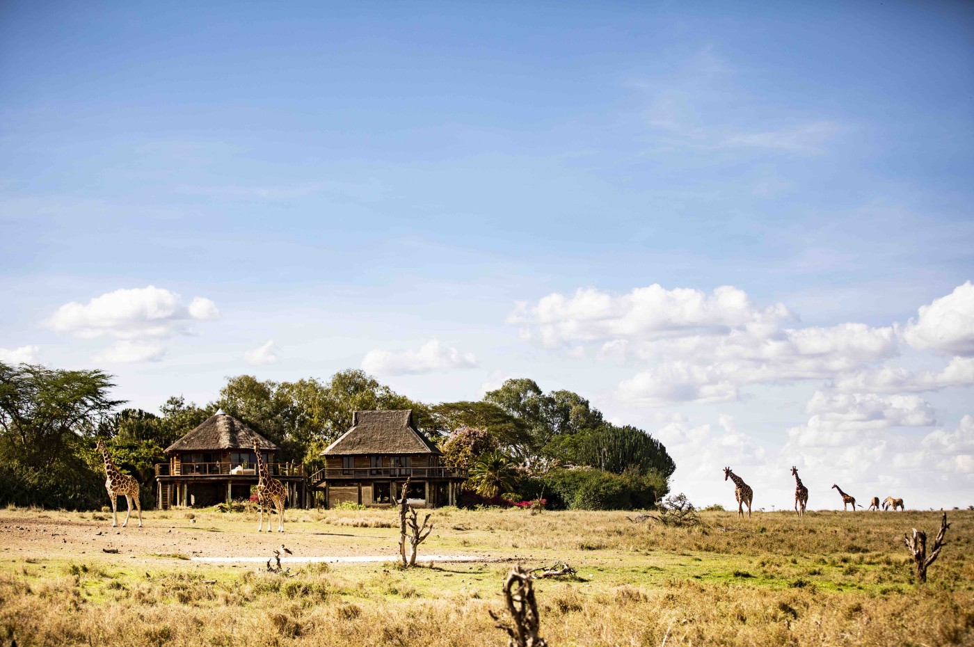 Segera Retreat, Laikipia, Kenya