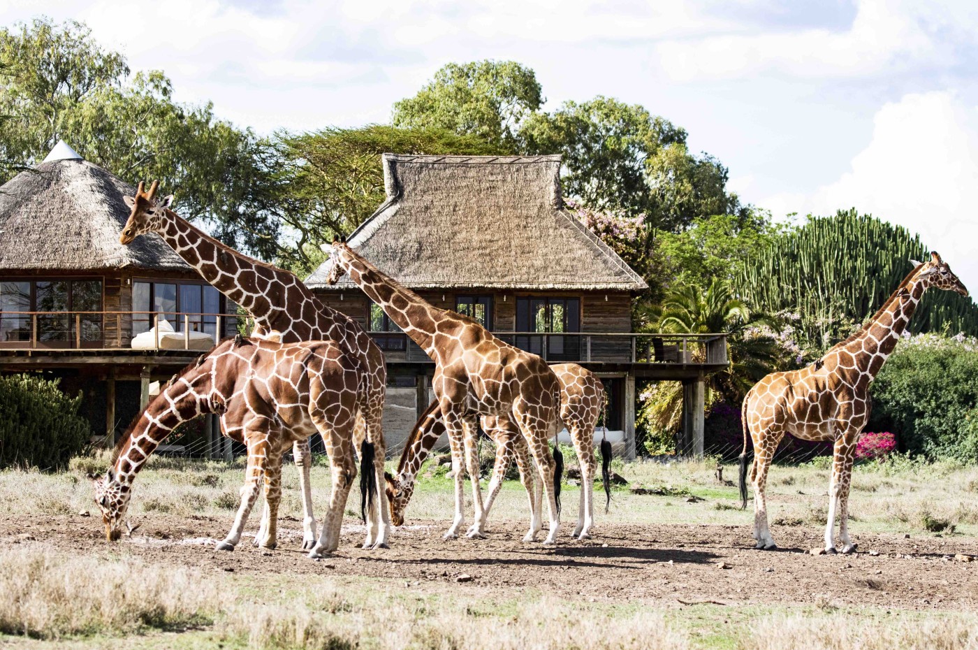 Segera Retreat, Laikipia, Kenya