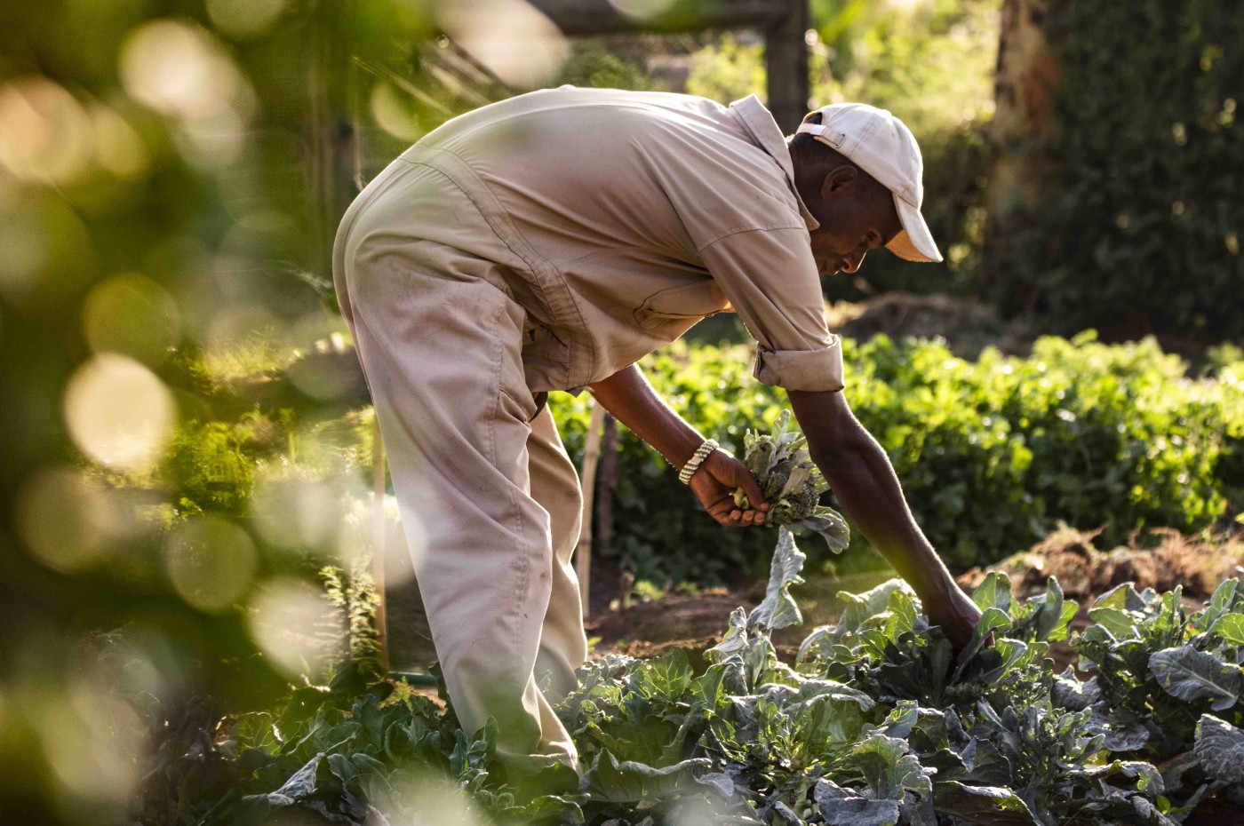 Segera Retreat, Laikipia, Kenya