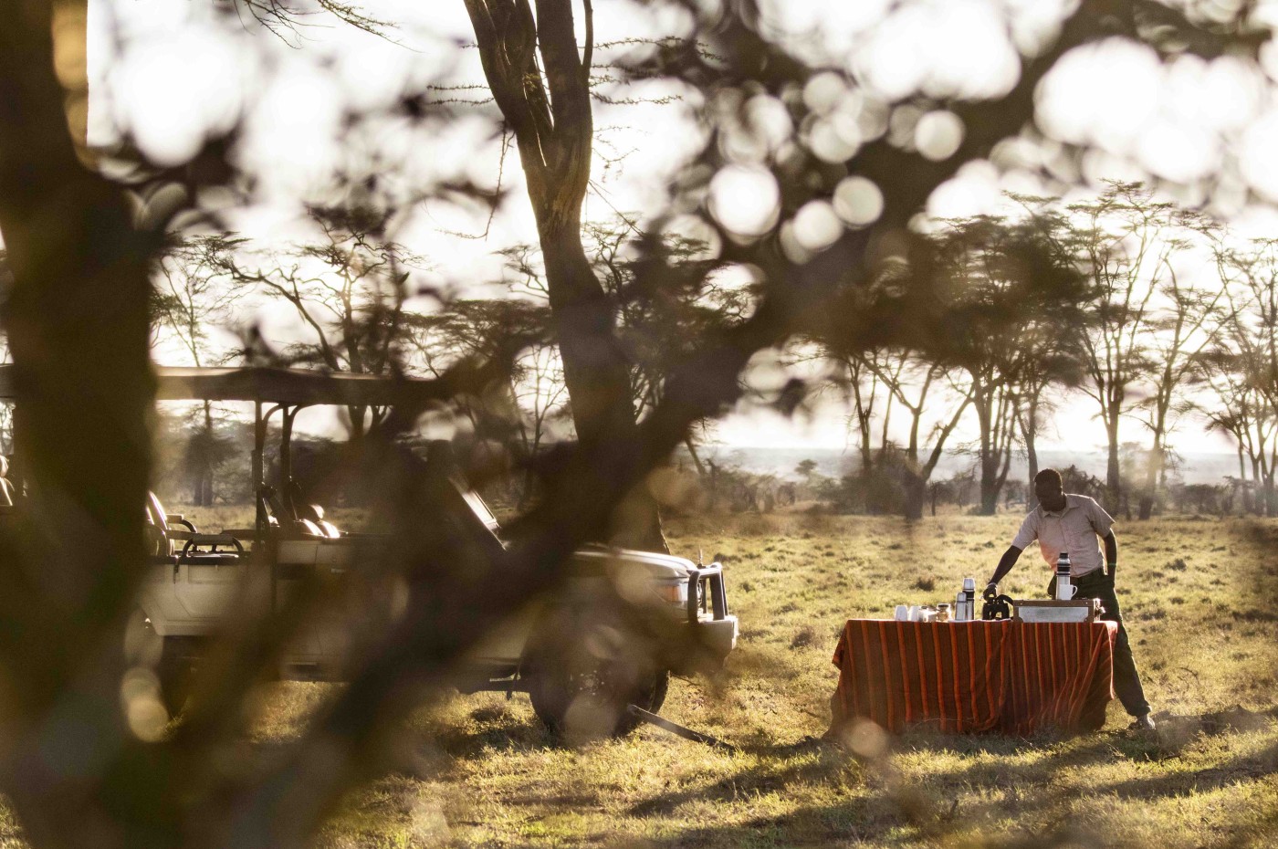 Segera Retreat, Laikipia, Kenya