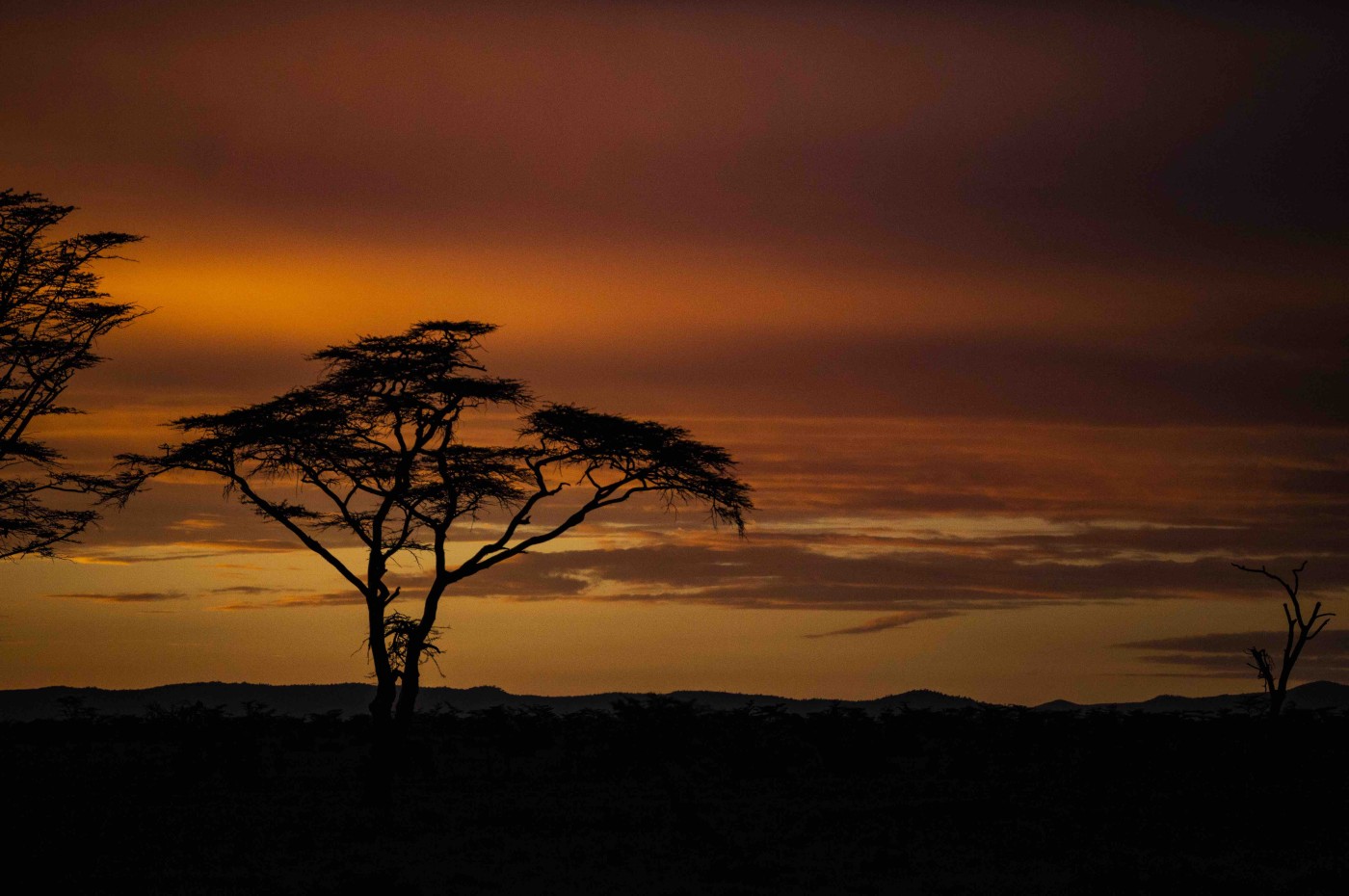 Segera Retreat, Laikipia, Kenya