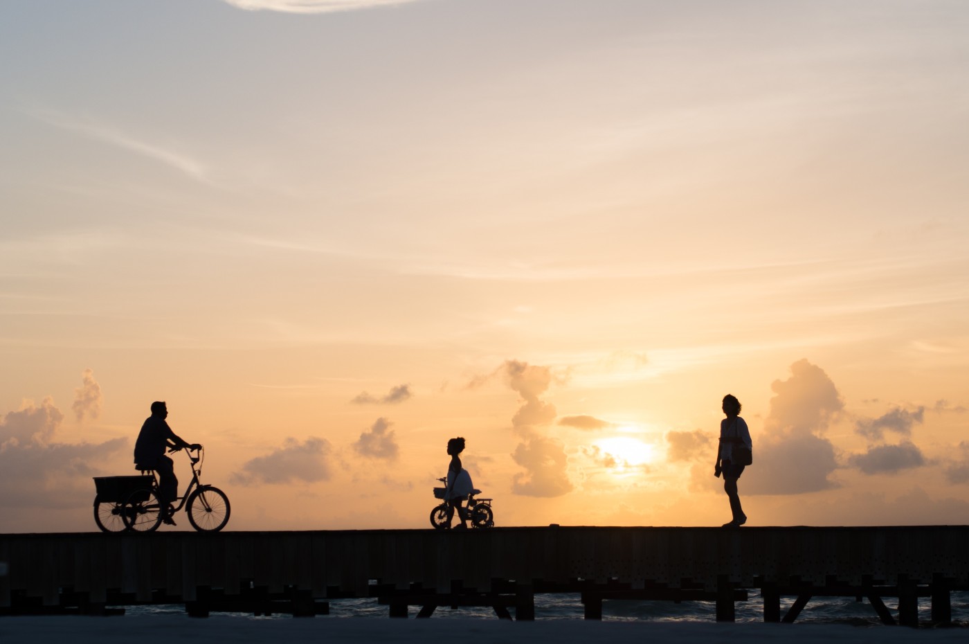 Soneva Jani, Maldives