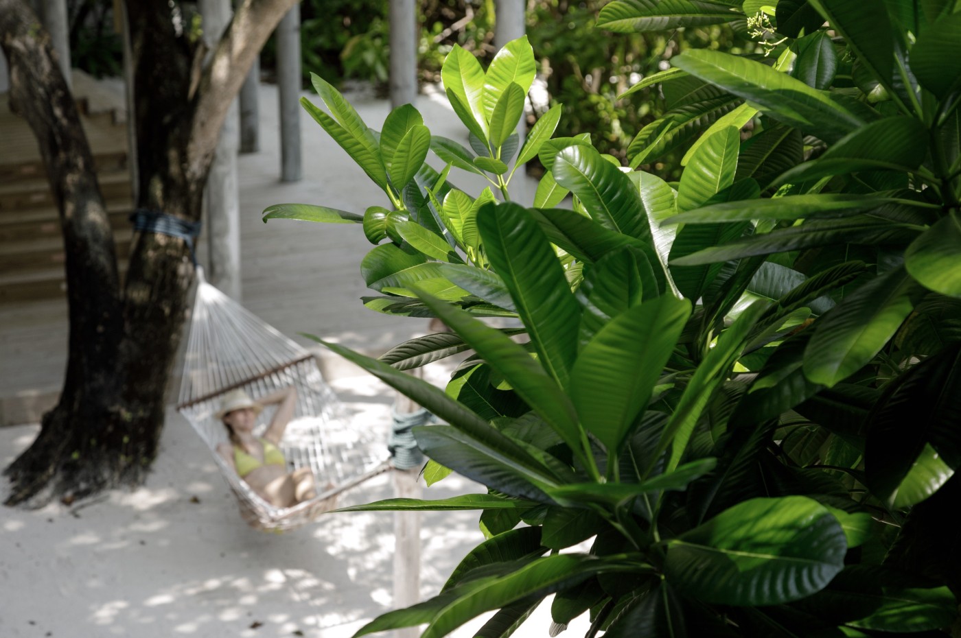 Soneva Fushi, Maldives