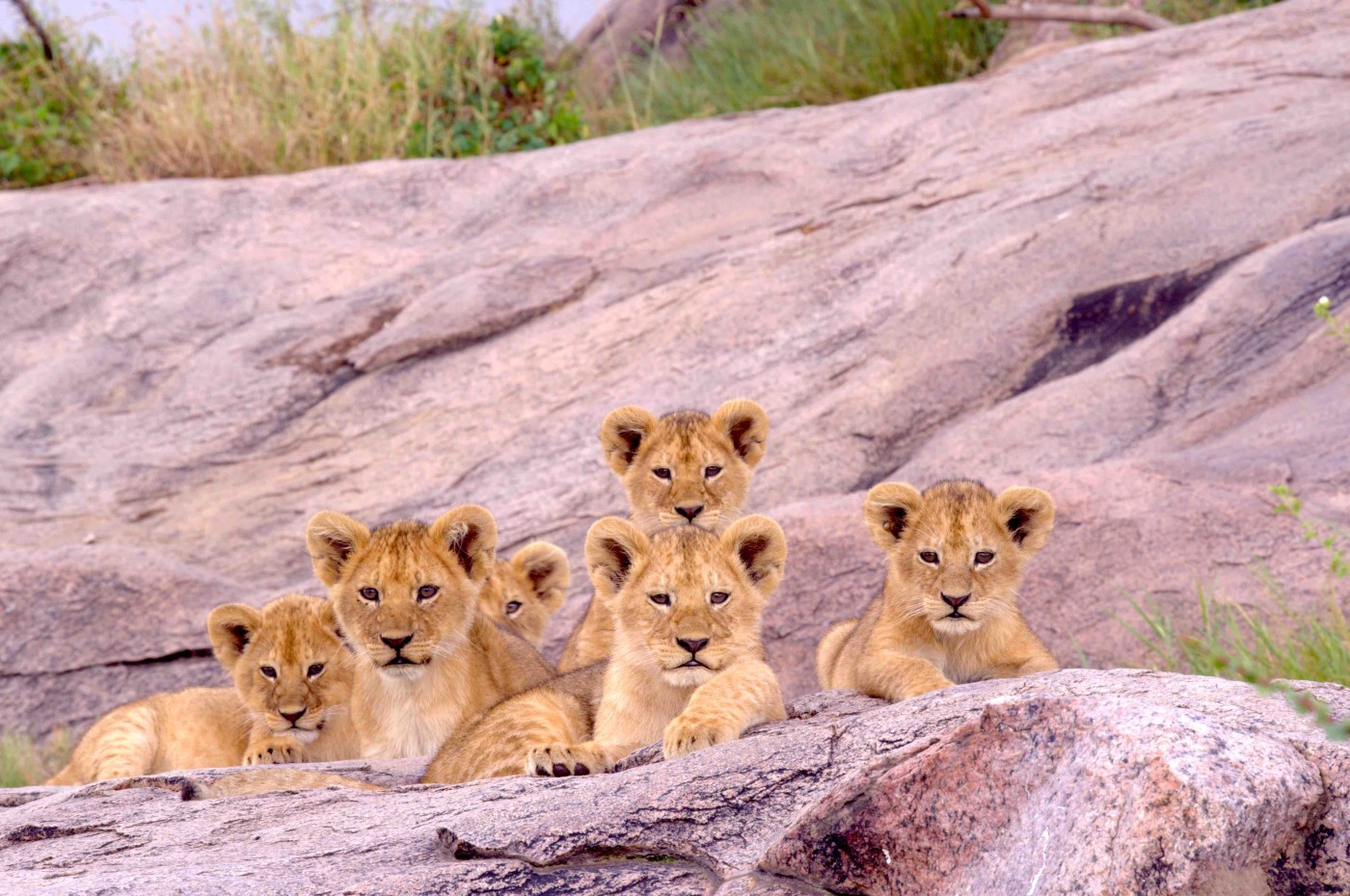 Serengeti Imax, Tanzania