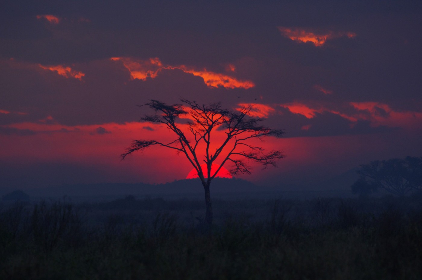 Serengeti Imax, Tanzania