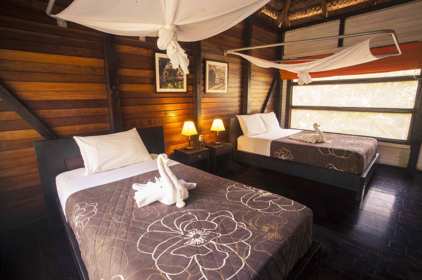 Sani Lodge, Amazon, Ecuador