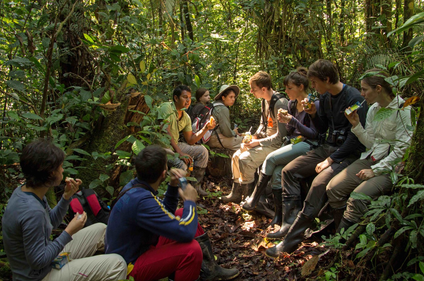 Sani Lodge, Amazon, Ecuador