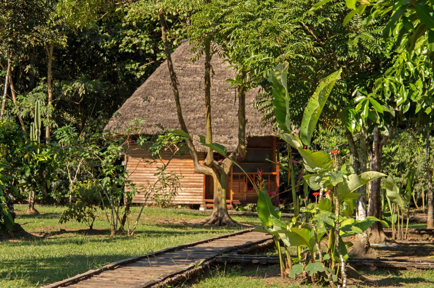 Sani Lodge, Amazon, Ecuador