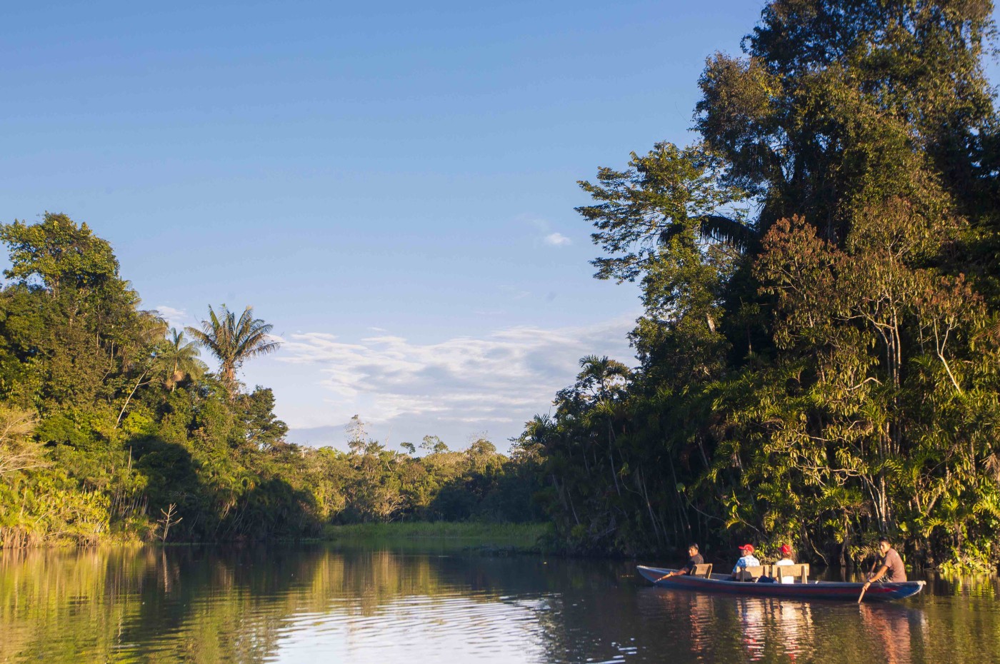 Sani Lodge, Amazon, Ecuador