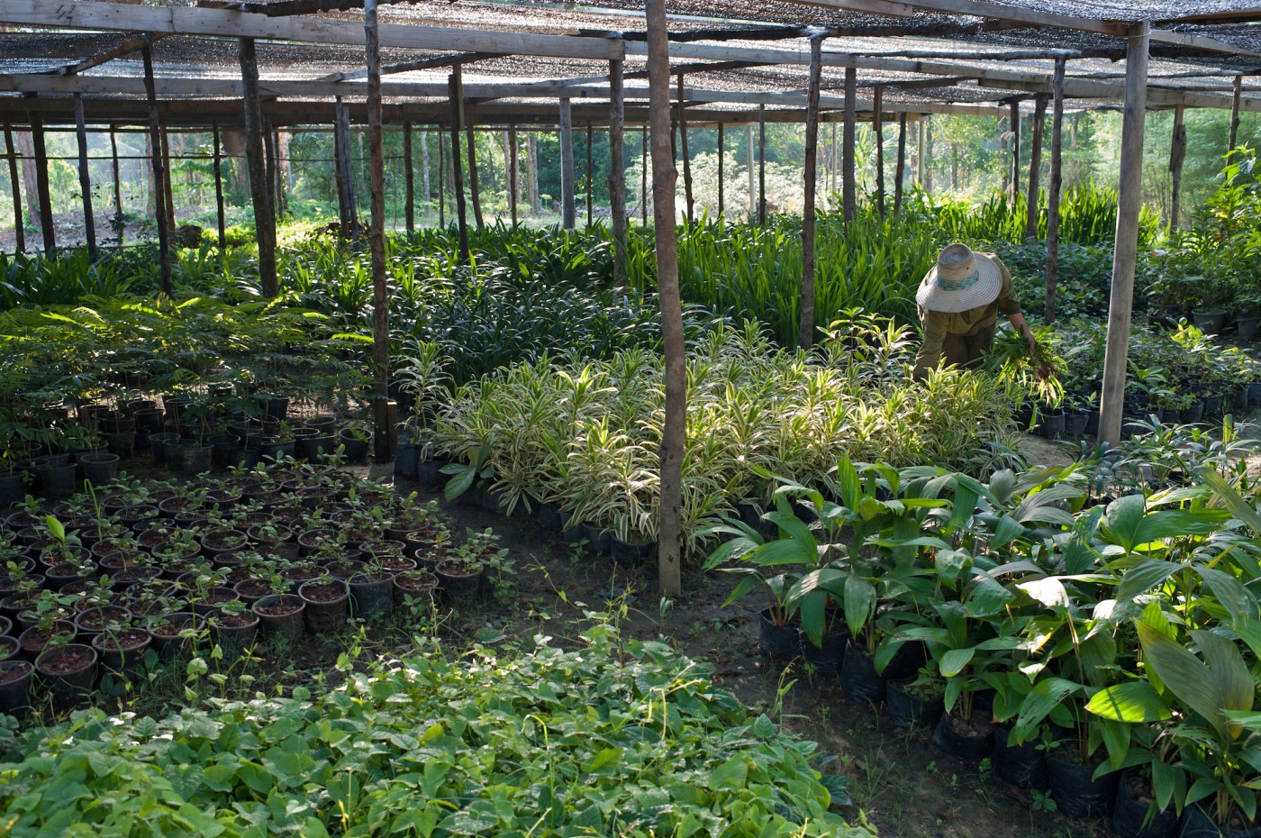Soneva Kiri, Koh Kood, Thailand