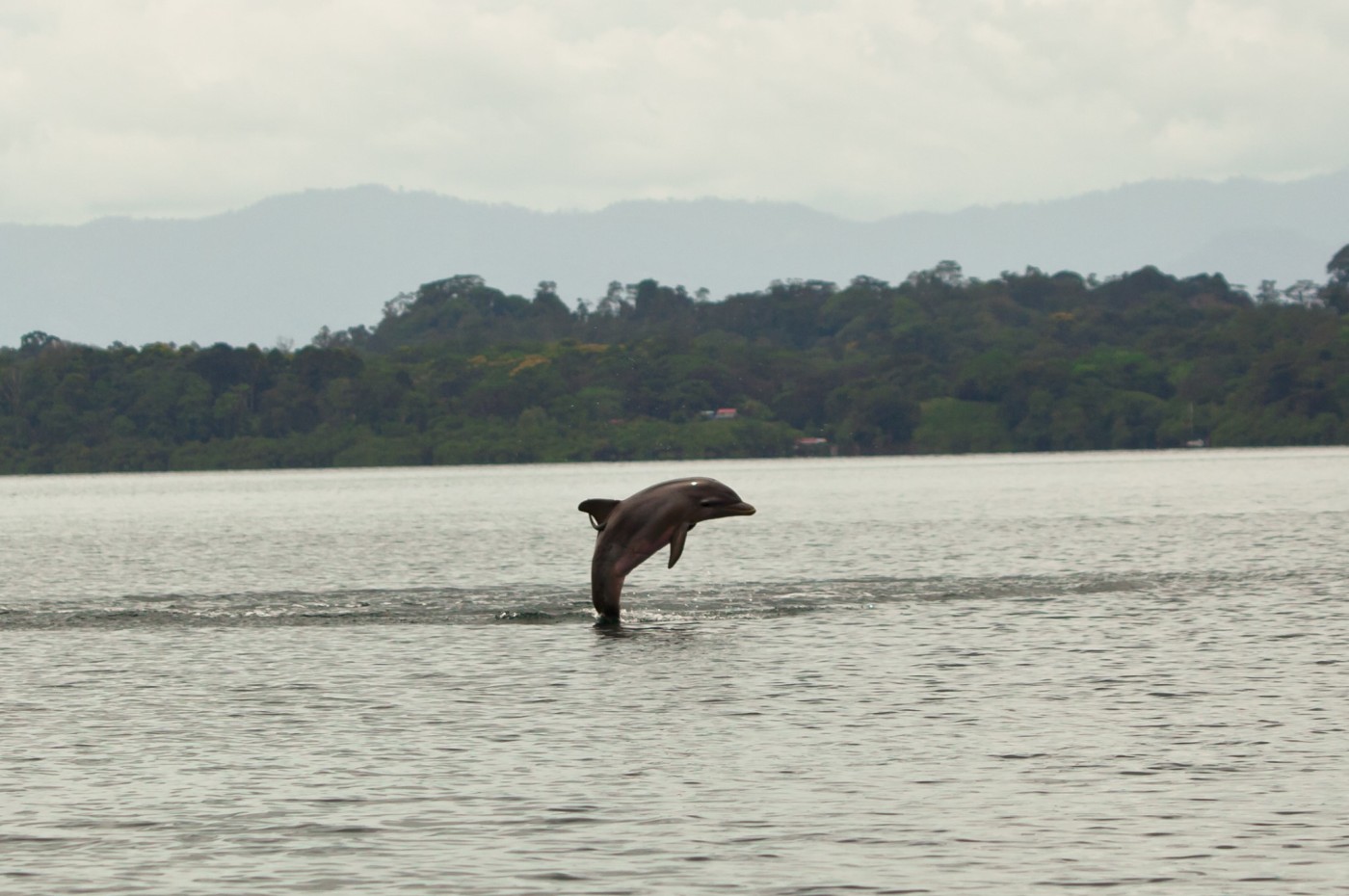 Al Natural Resort, Bocas Del Torre, Panama