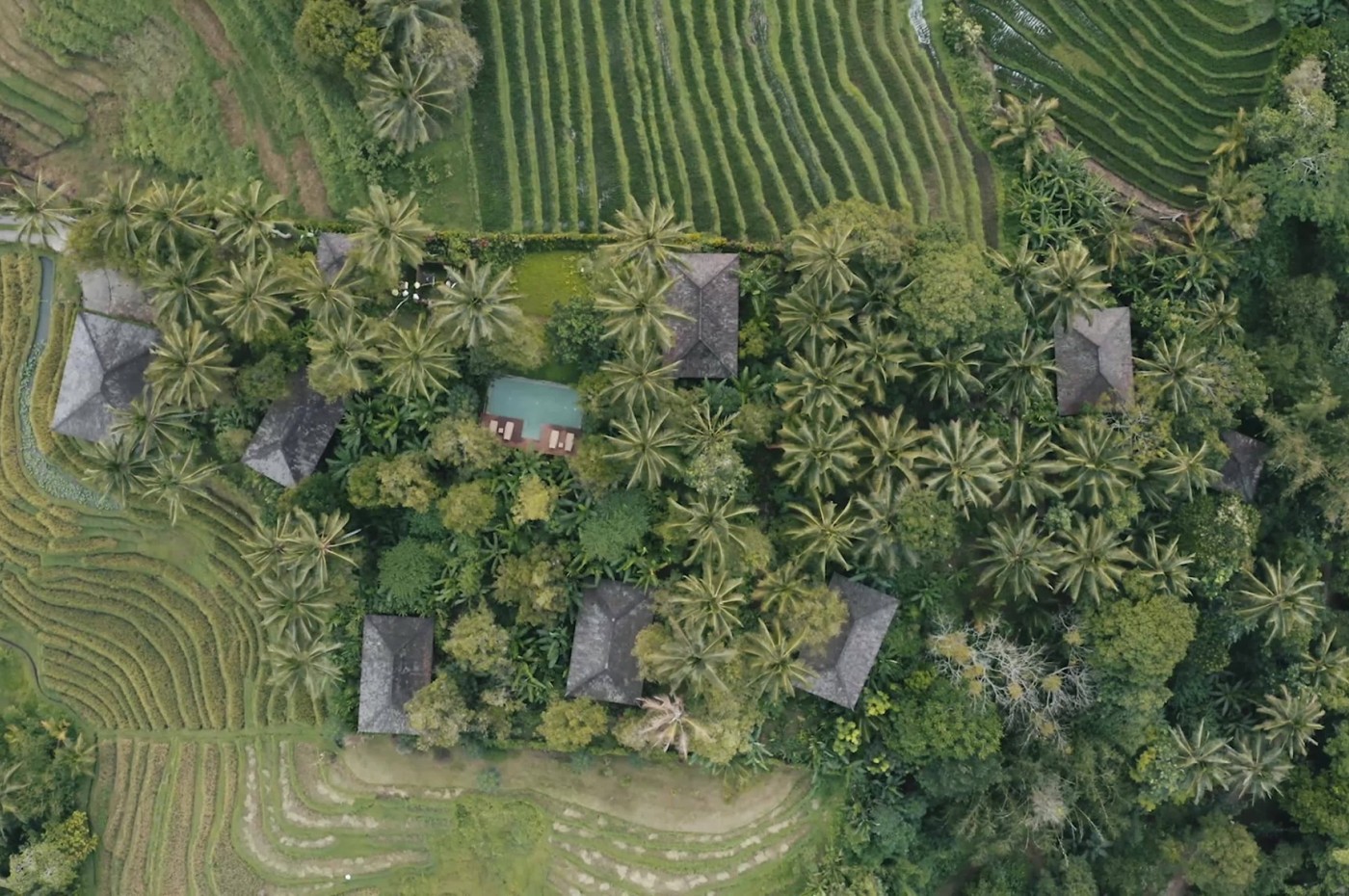Clove Tree Hill Villas, Bali, Indonesia
