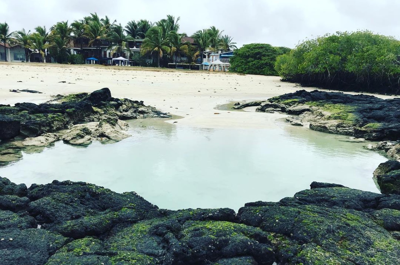 La Casa De Marita, Isabela, Galapagos, Ecuador
