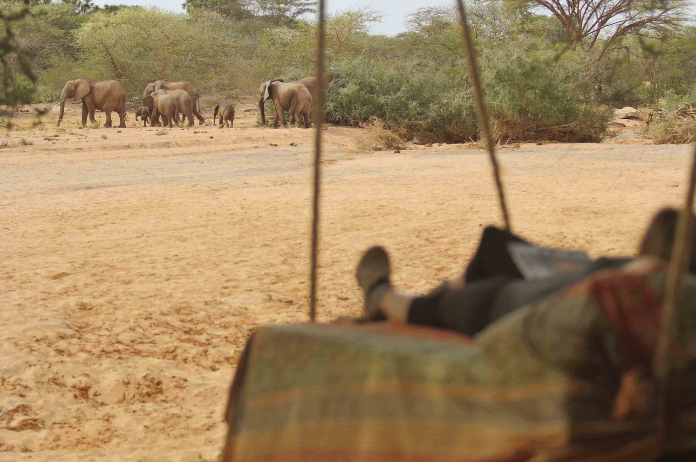 Saruni Rhino, Samburu