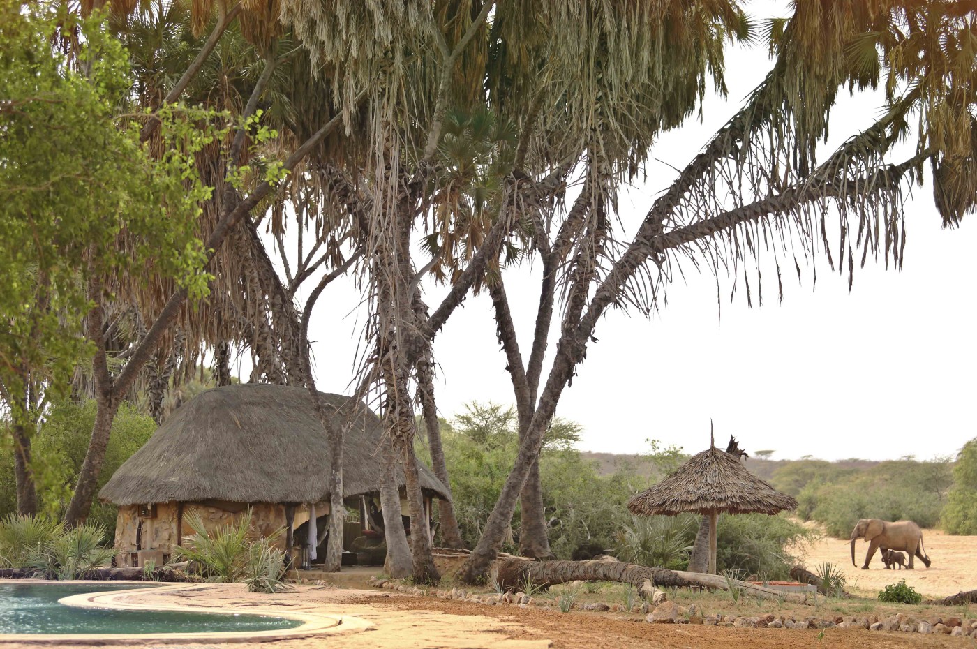 Saruni Rhino, Samburu