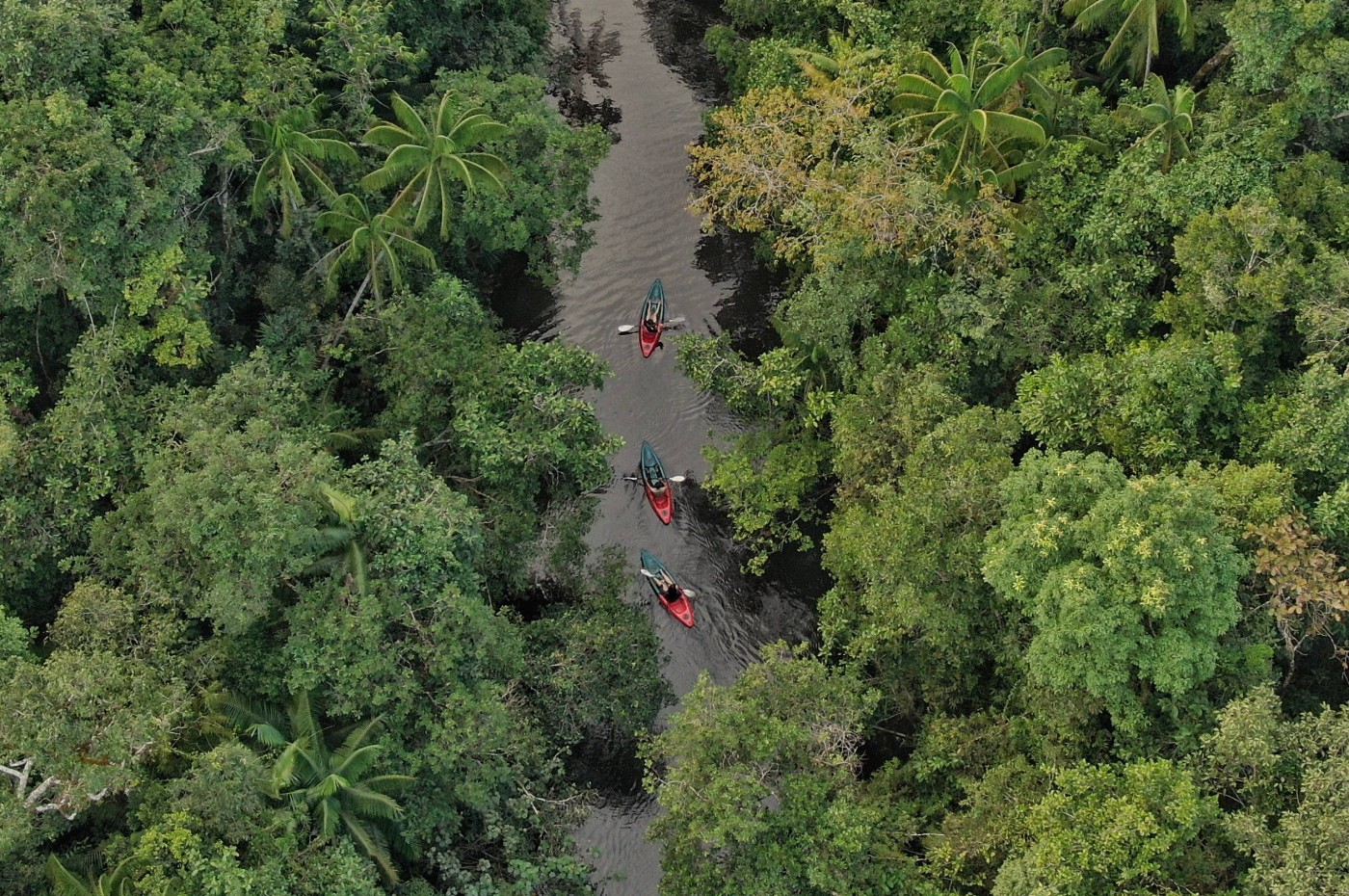 Cardamom Tented Camp, Cambodia